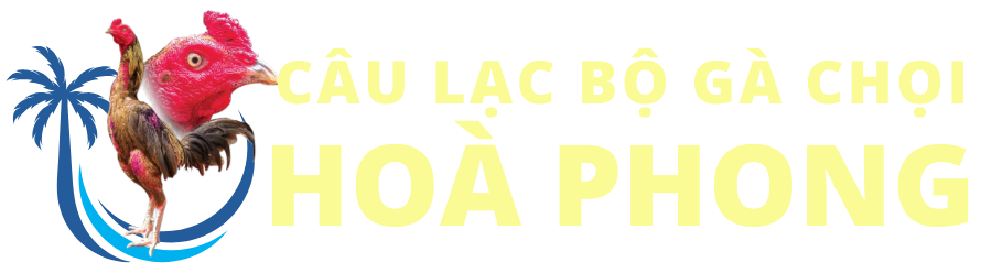 CLB Gà Chọi Hoà Phong