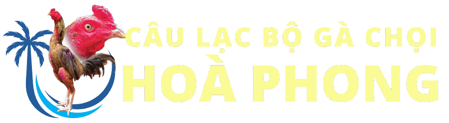 CLB Gà Chọi Hoà Phong